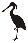 Spoonbill Bird Silhouette Decal Sticker